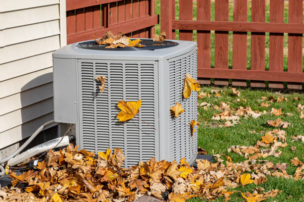 Best HVAC Air Duct Cleaning  in Palestine, TX